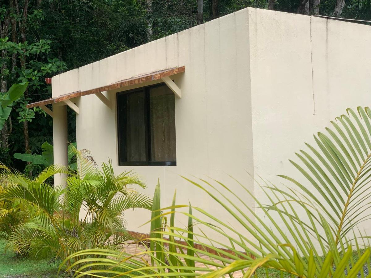 Alma Del Bosque Vacation Home And Apartments Quepos Kültér fotó