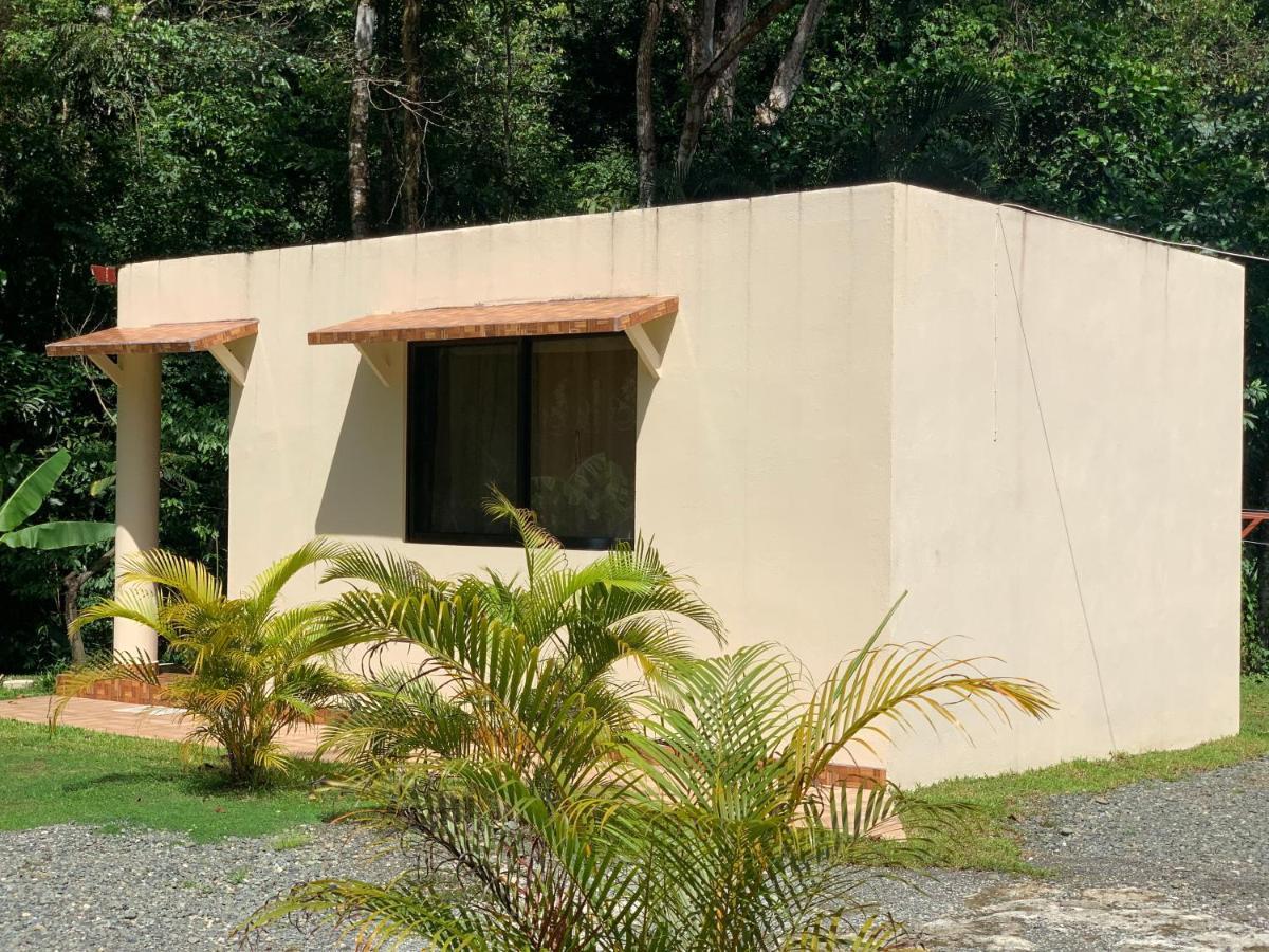 Alma Del Bosque Vacation Home And Apartments Quepos Kültér fotó