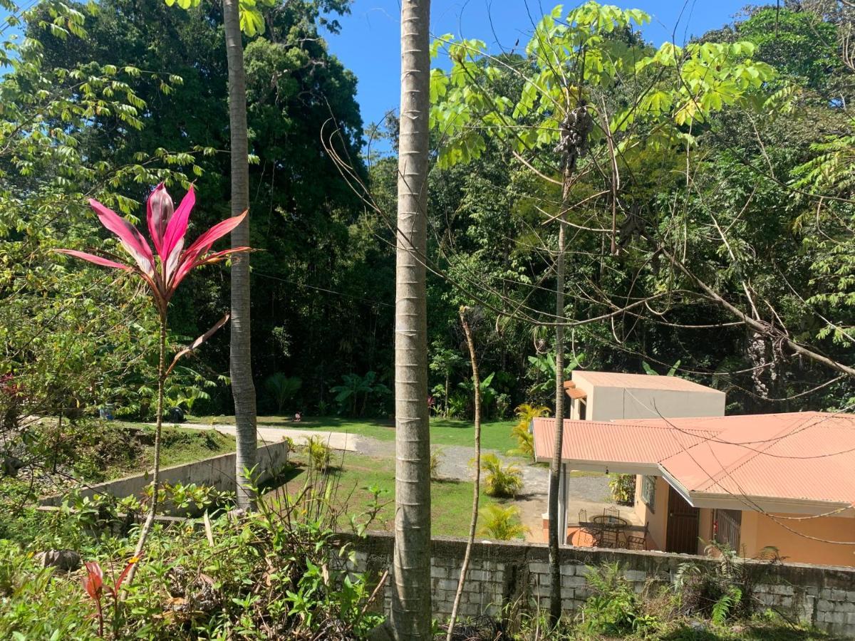 Alma Del Bosque Vacation Home And Apartments Quepos Kültér fotó